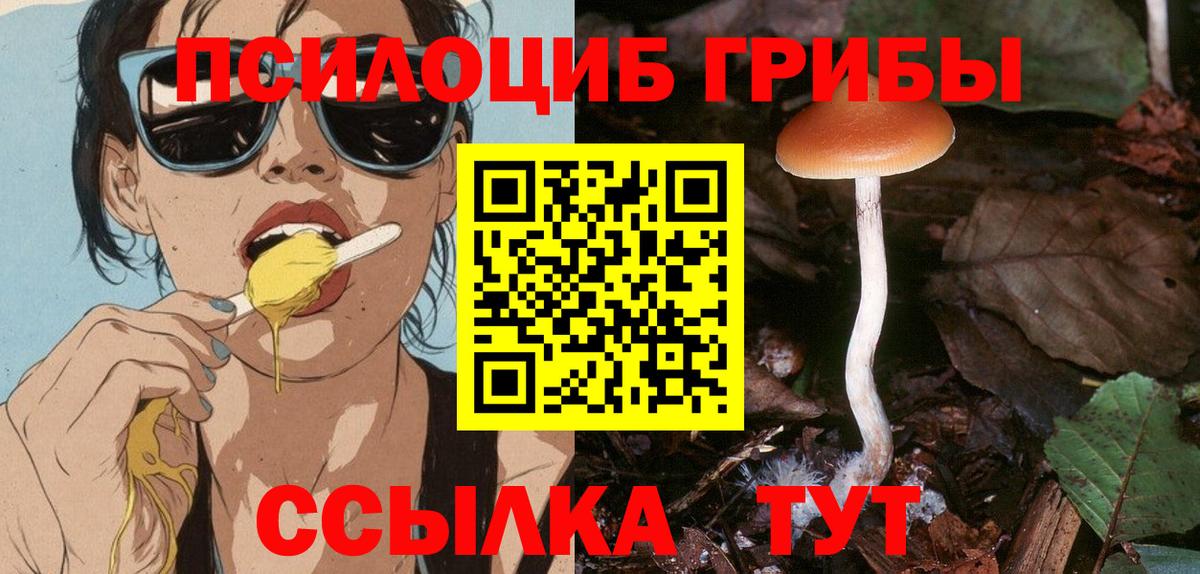 Псилоцибиновые грибы GOLDEN TEACHER Рубцовск