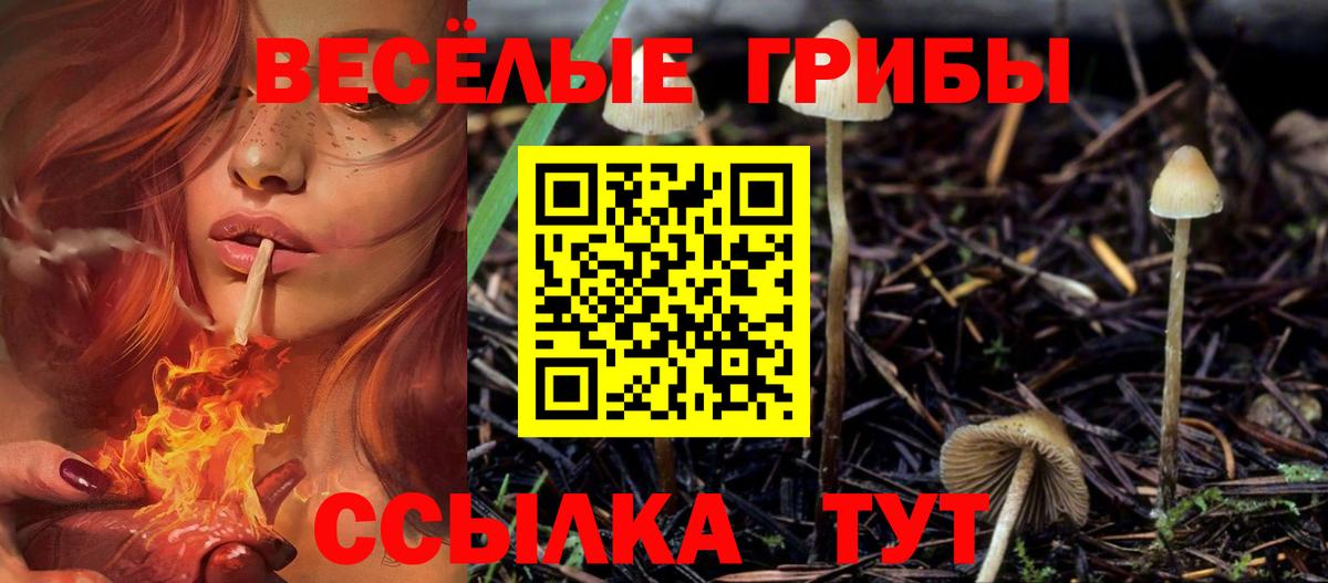 Рубцовск  Псилоцибиновые грибы Psilocybe  Псилоцибиновые грибы мухоморы  Вход с VPN 